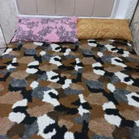 اجاره آپارتمان دو خوبه مبله خیام جنوبی|اجارهٔ کوتاه‌مدت آپارتمان و سوئیت|ارومیه, |دیوار