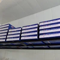 آینه بغل/شیشه بالابر/قفل مرکزی/ ناصری|قطعات یدکی و لوازم جانبی|سنندج, |دیوار