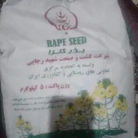 بذر کلزا