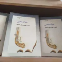 کتاب تاریخی|کتاب و مجله تاریخی|اصفهان, شاهزاده ابراهیم|دیوار