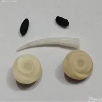 انواع م ه ره|بدلیجات|تربتحیدریه, باغ سلطانی|دیوار