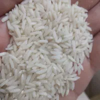 برنج هاشمی اصل گیلان،مستقیم از کارخانه