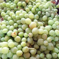 گرفتن آب غوره