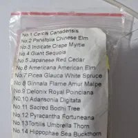 بذر بنسای|گل و گیاه طبیعی|رشت, کوی غلام نیا|دیوار