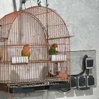 فروش بزیلی