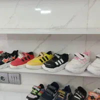 افر نقلی نوزدای