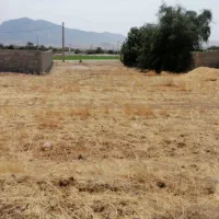 فروش زمین مسکونی مصیری محله ضامنی