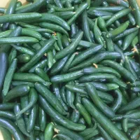 خیار تازه چین