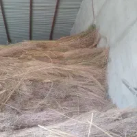 جارو مخصوص دسته|لوازم نظافت|نهاوند, |دیوار