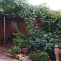 ۸۵ متر حیاط اختصاصی و راه جدا