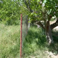 فروش باغ با خانه در منطقه سیمین دشت فیروزکوه|فروش دفتر صنعتی، کشاورزی، تجاری|فیروزکوه, |دیوار