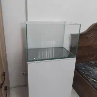 آکواریوم ۱۰۰ لیتری|ماهی|رشت, توشیبا|دیوار