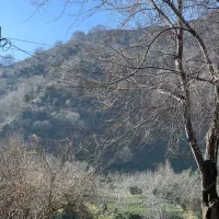 تجاری-مسکونی-میدان-لیلاکوه