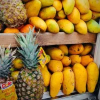 انواع آبمیوه طبیعی آب زرشک انار آلبالو بطری و گالن|عمده‌فروشی|تهران, لاله زار|دیوار