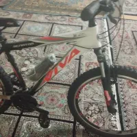 دوچرخه ویوا