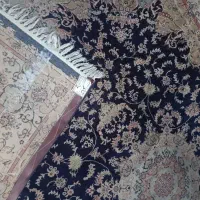 فرش تمام نخ ۱۲متری و ۹ متری|فرش|پرند, فاز ۲|دیوار