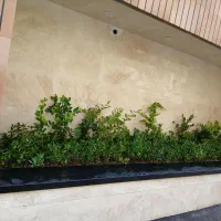 خدمات باغبانی تمام نقاط تهران گل کاری هرس خاکگلدان