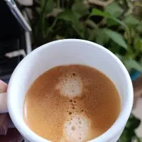 اسپرسو ساز 153 نوا|سماور، چایساز، قهوهساز|بندر ماهشهر, |دیوار