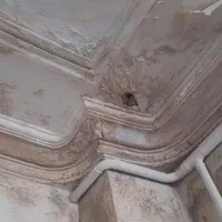 تشخیص تخصصی محل نم ونشتی واببندی نانو تضمینی|خدمات پیشه و مهارت|نیشابور, ۲۲ بهمن|دیوار