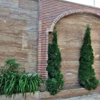 آجر نما و سنگکار|خدمات پیشه و مهارت|اردبیل, |دیوار