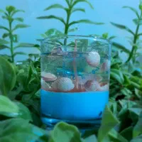 شمع شکلاتی|صنایع دستی و سایر لوازم تزئینی|بافق, |دیوار