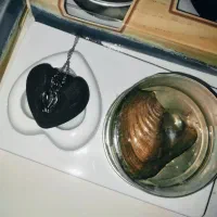 گردنبند عشق|بدلیجات|شاهینشهر, فردوسی|دیوار