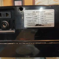 اکواریوم شرکتی|ماهی|اصفهان, کشاورزی|دیوار