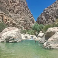 تور یک روزه حسنی پاچر|تور و چارتر|شیراز, تاچارا|دیوار