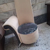 تمیزوشیک مناسب برای باغ