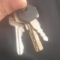 پیداشده