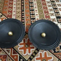 میدرنج هاروارد ۱۰ اینچ