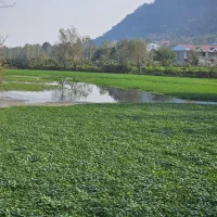 فروش ۱۰۰۰ متر زمین دونبش دوراستخر ملاط