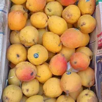 گلابی کیلو 100