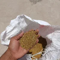 بزر یونجه