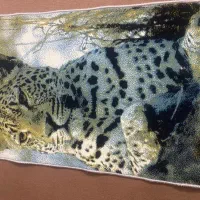 دو تا قالیچه دم دری فیلی رنگ|فرش|ایلام, |دیوار