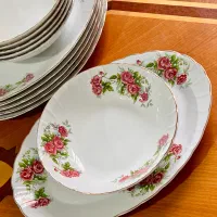 ظروف گل سرخی