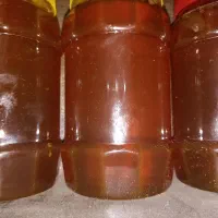 عسل تنگ درآک..بهترین کیفیت و کاملا ارگانیک