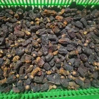 خرما کده میفروشم کیلویی۴۰هزارتومان