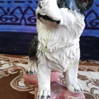 مجسمه سگ|مجسمه، تندیس، ماکت|قم, شهرک سازمان آب|دیوار