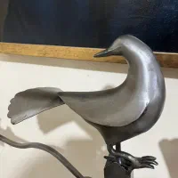 حیوان علامت علم