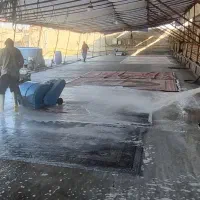 قالیشویی و مبلشویی تخصصی غرب و شمال غرب تضمینی|خدمات نظافت|تهران, سازمان برنامه شمالی|دیوار