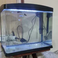 اکواریوم ماهیران ma24 معاوضه