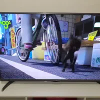 تلویزیون ال ای دی ۴۳اینچ ال جی اصل کره درحدنو|تلویزیون و پروژکتور|پاکدشت, پاکدشت (مامازند)|دیوار