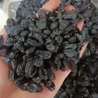 مویز افغان بدونه حسته بارخوب