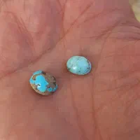 دوعدد فیروزه اصل مغز