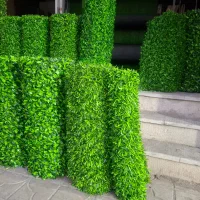 دنیای چمن شیراز فنس چمنی برگ ریحون و ساده