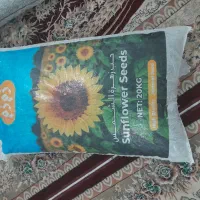 تخمه آفتاب گردان درجه ۱