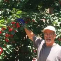 کود ـ گیاه پژوهش ـ مشاوره رایگاه