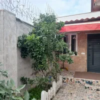 سوئیت تازه ساخت کاکل