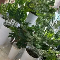 شلف گلدان گیاه درختچه مصنوعی دکوری ریسه آویز شمشاد